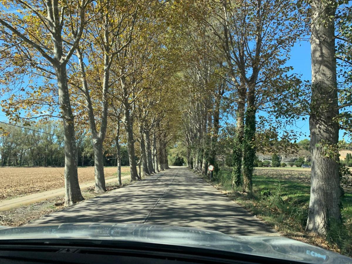 Appartamento Mas Pinell 3 -Viu bé L'Estartit Esterno foto